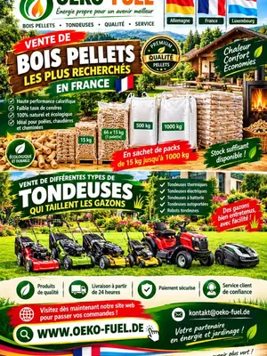 Meilleure qualité de bois de chauffage.