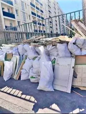 Enlèvement et évacuation de déchets - Maison, jardin, garage - Miniature 2