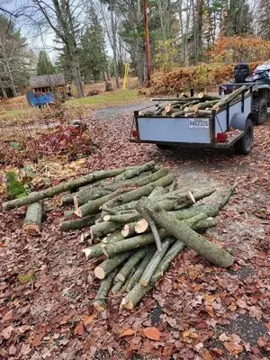Bois de chauffage chêne, hêtre, charme, frêne - Granulés et bûches densifiées