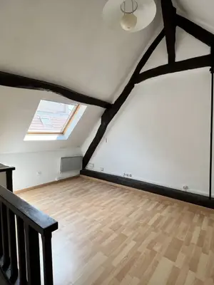 Maisonnette meublée 30m² avec mezzanine à Champigny-sur-Marne - Miniature 2