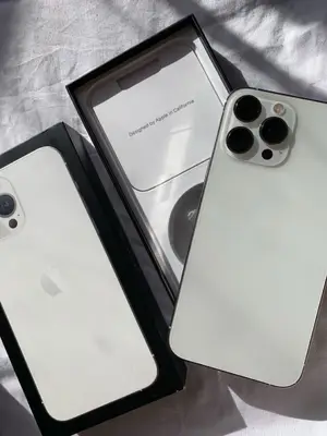 iPhone 13 Pro Max - Bon état