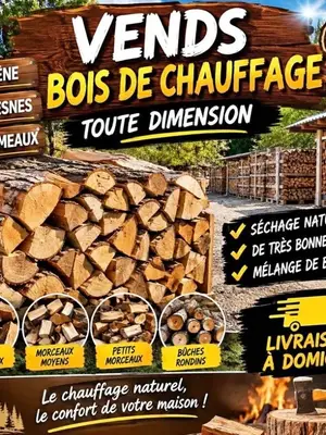 Bois de chauffage séché 2 ans et demi, plusieurs dimensions, livraison possible