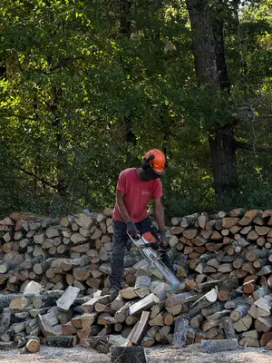 Bois de chauffage de qualité