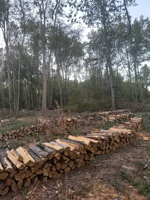 Bois de chauffage de qualité
