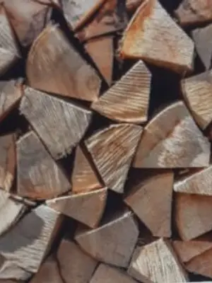 Bois de chauffage fendu, séché 2 ans, longueurs de 25 cm à 1 m