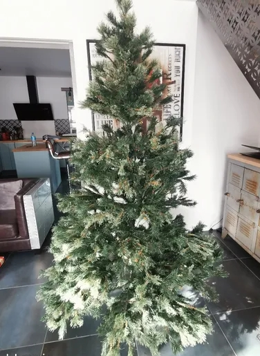 Arbre de Noël