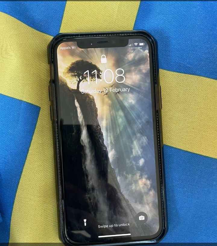iPhone 12 pro