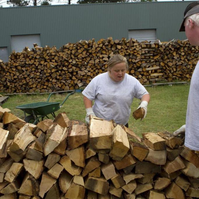 Bois de chauffage d'excellente qualité