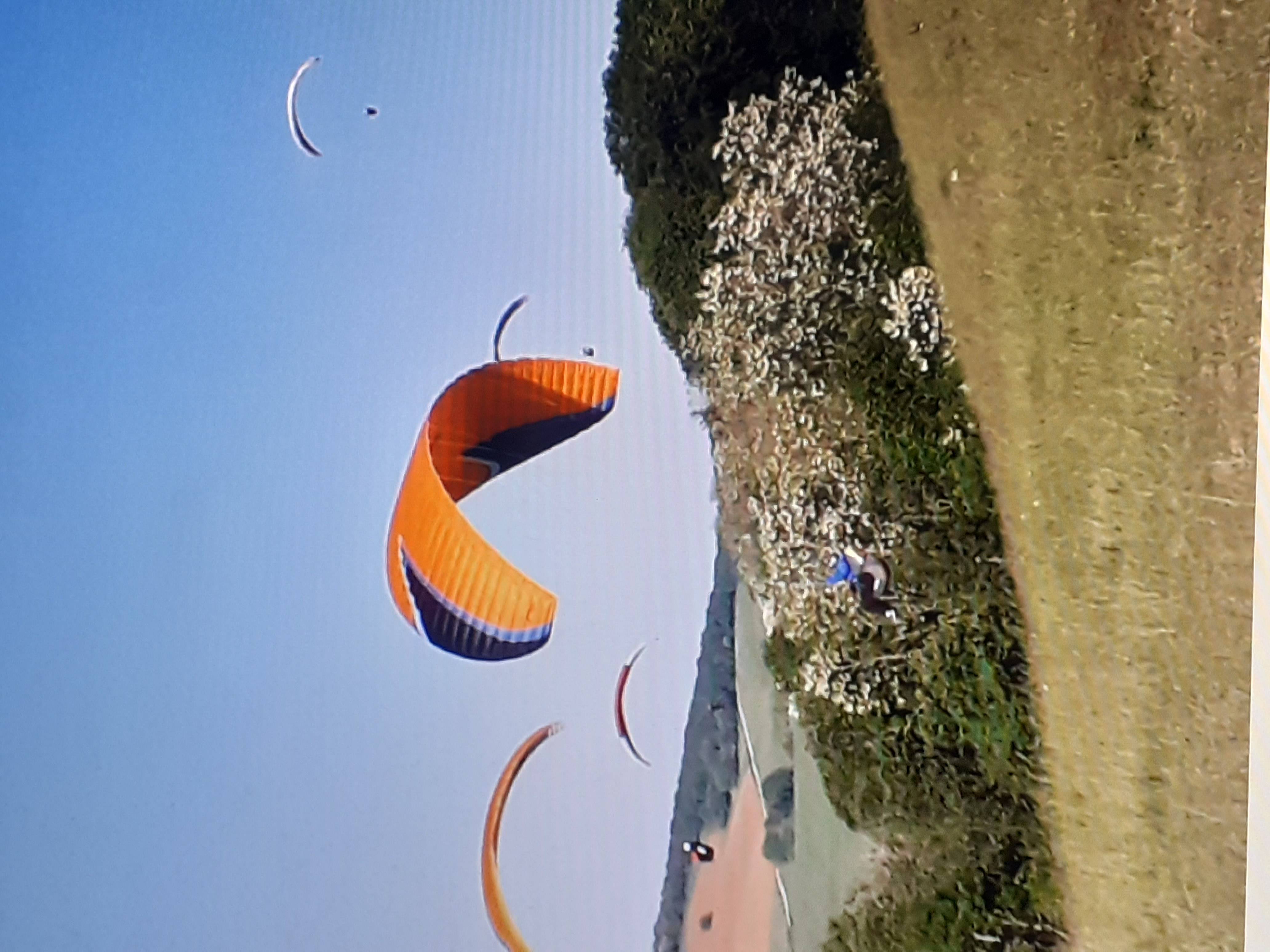 Aile de parapente