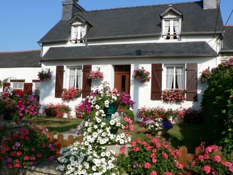 Le Grand Hortensia Pleyben centre Finistère - Miniature 2