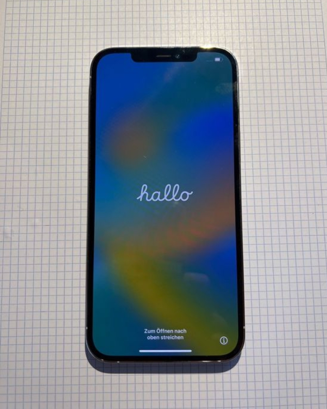 iPhone 12 Pro Max (Neu)