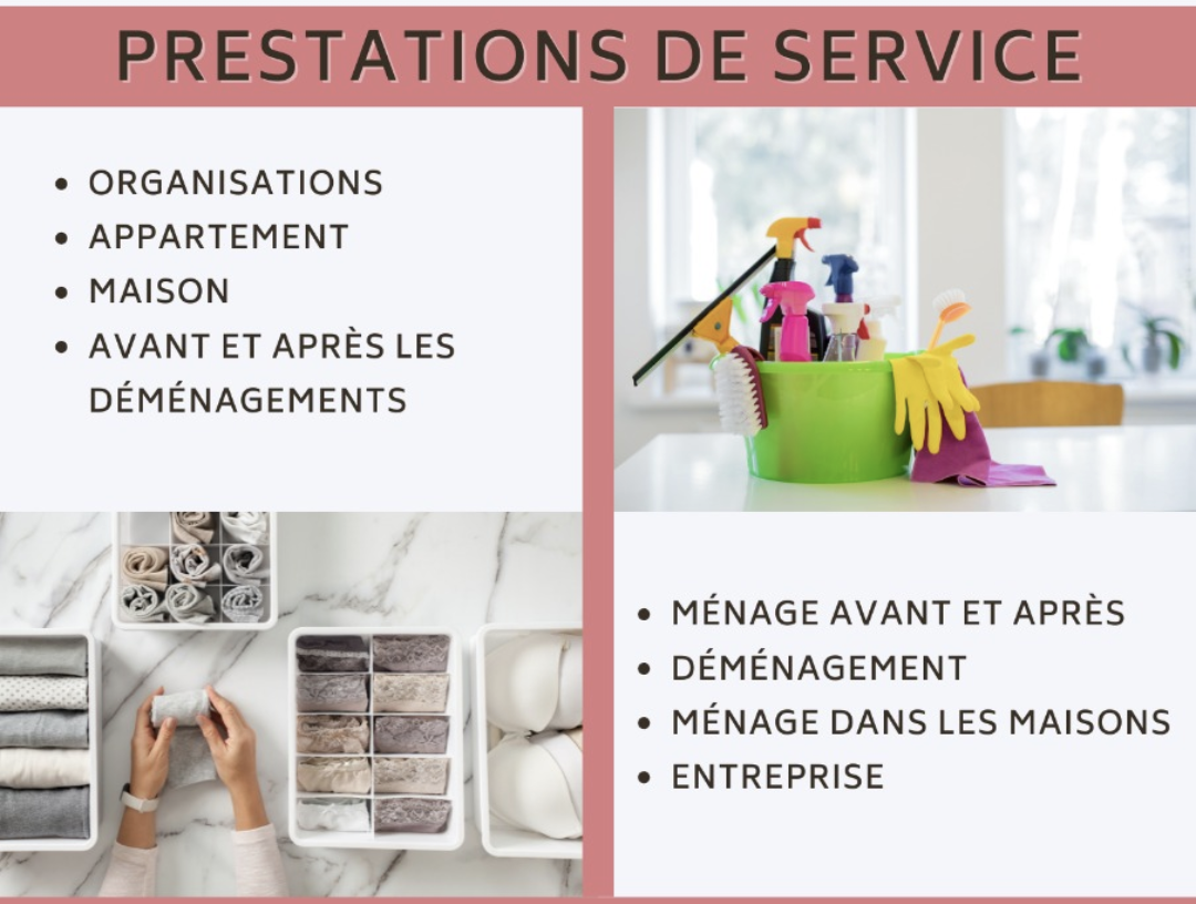 Organisation ou ménage