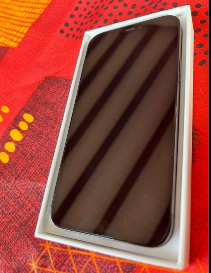 iPhone 12 pro max