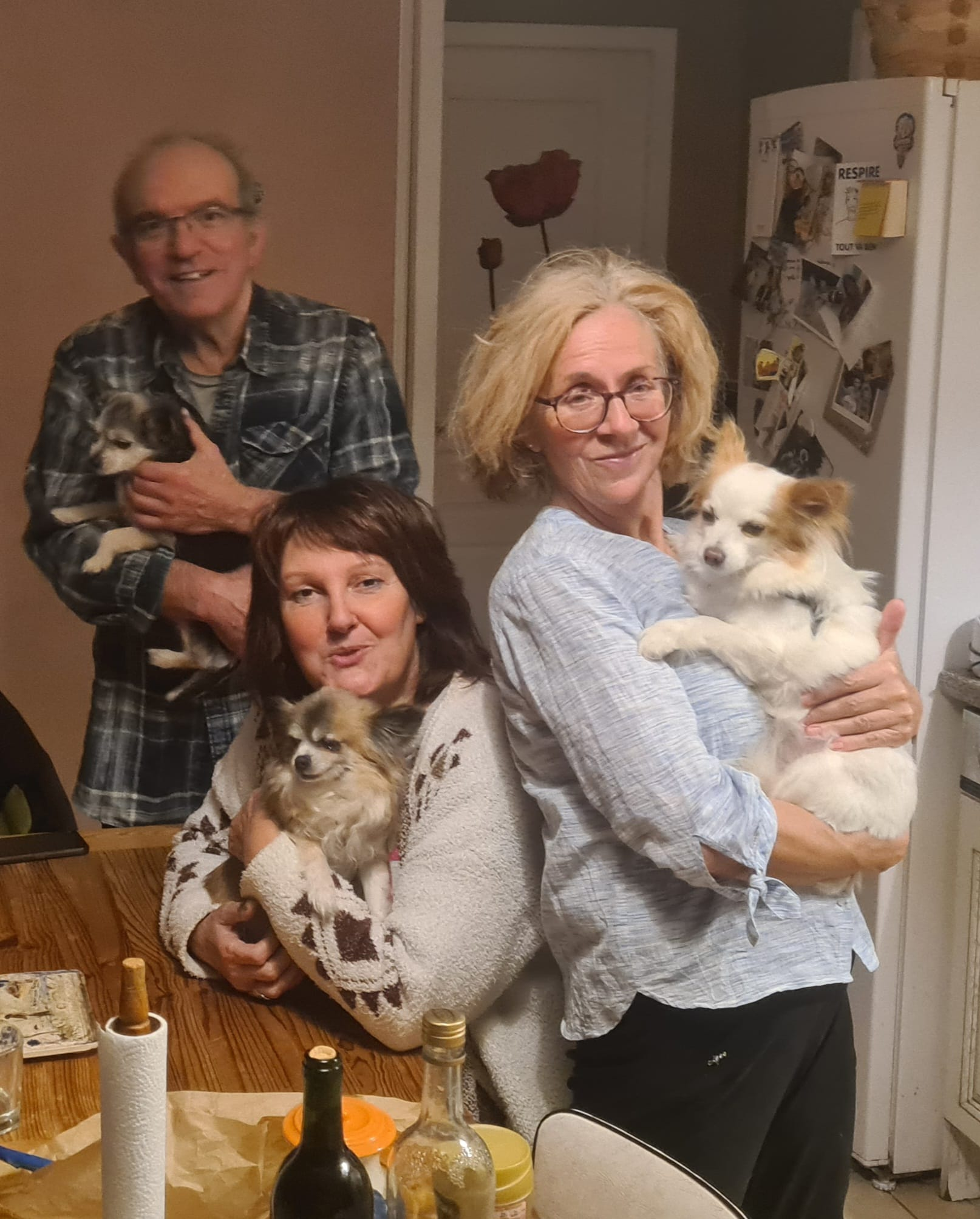 Services garde de chiens