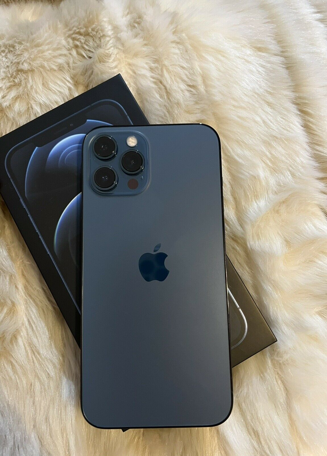 iPhone 13 max pro