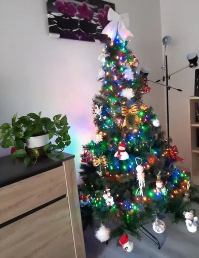 Sapin de Noël