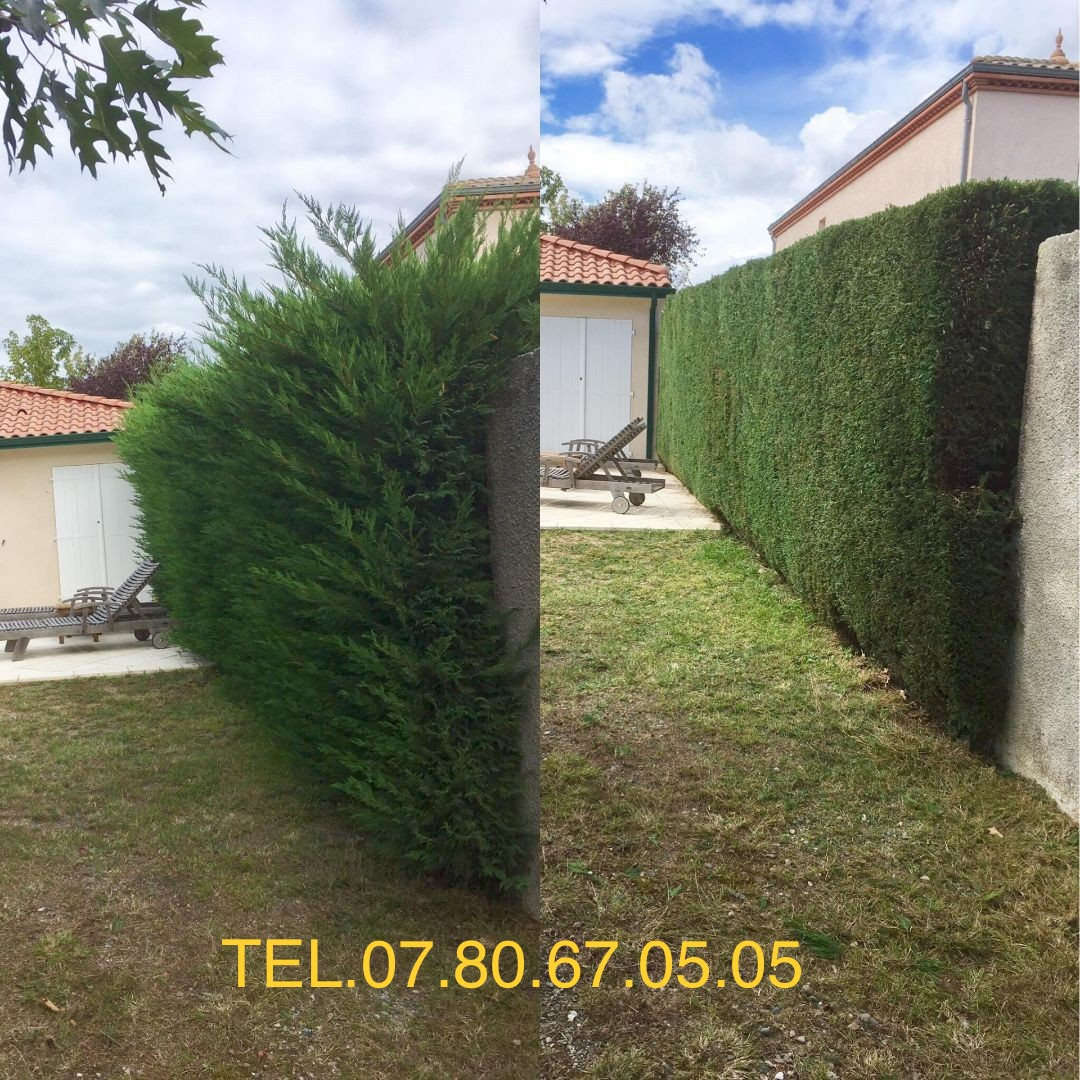 Espaces verts