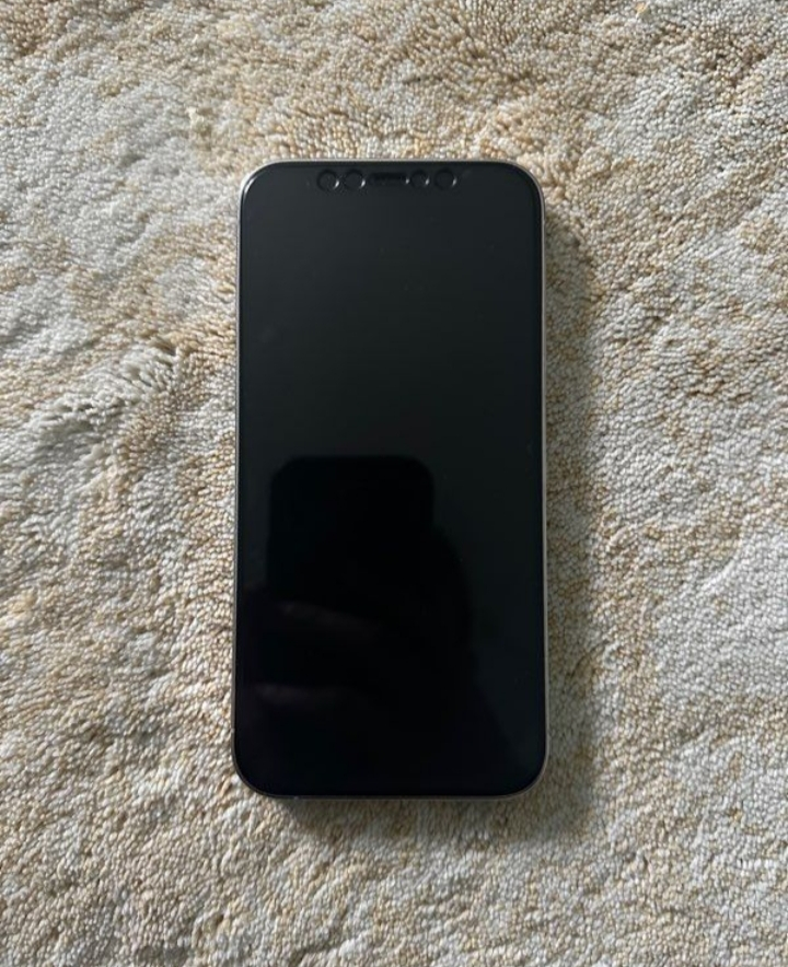 Iphone 12 Pro
