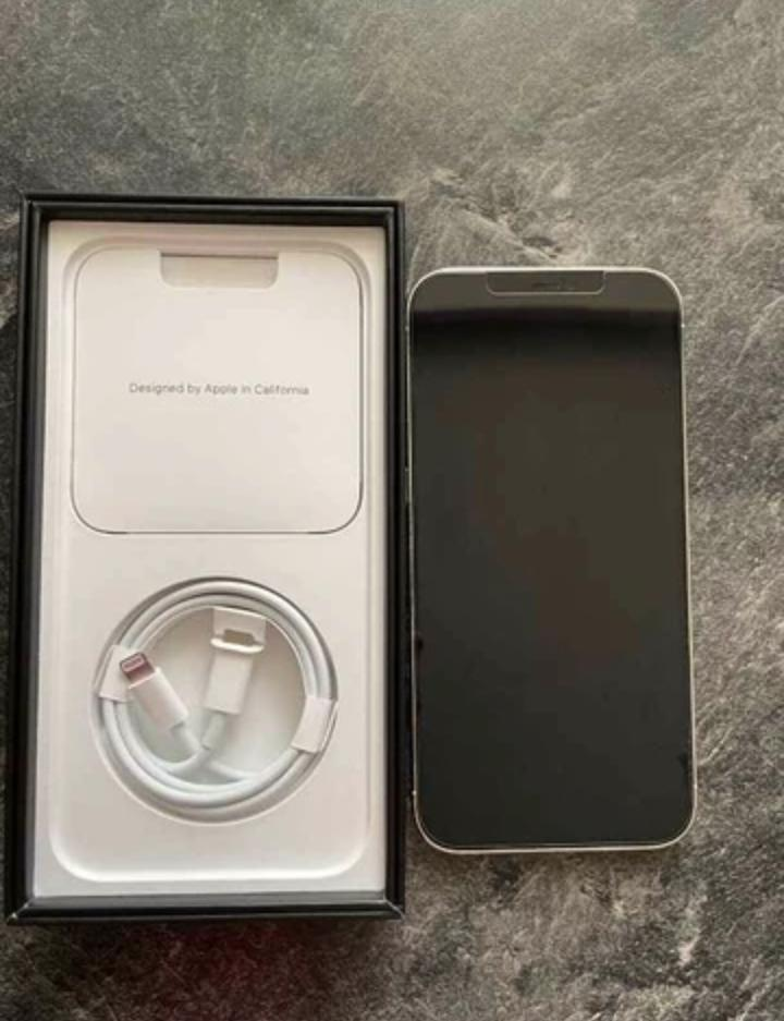 iPhone 12 pro max