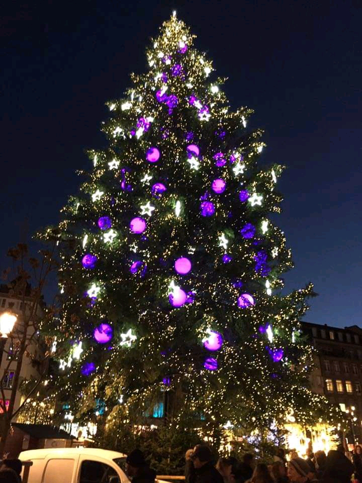 Sapin de Noël