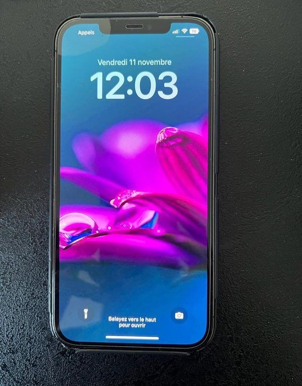 IPhone 12 Pro Max 256