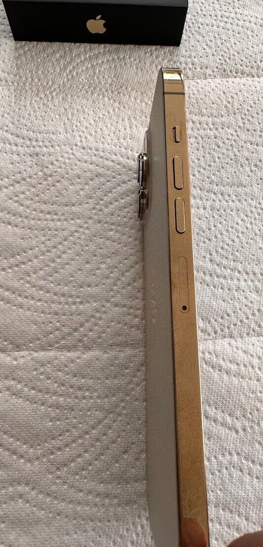 Apple iPhone 13 Pro Max - 256 Go - Or (Débloqué)