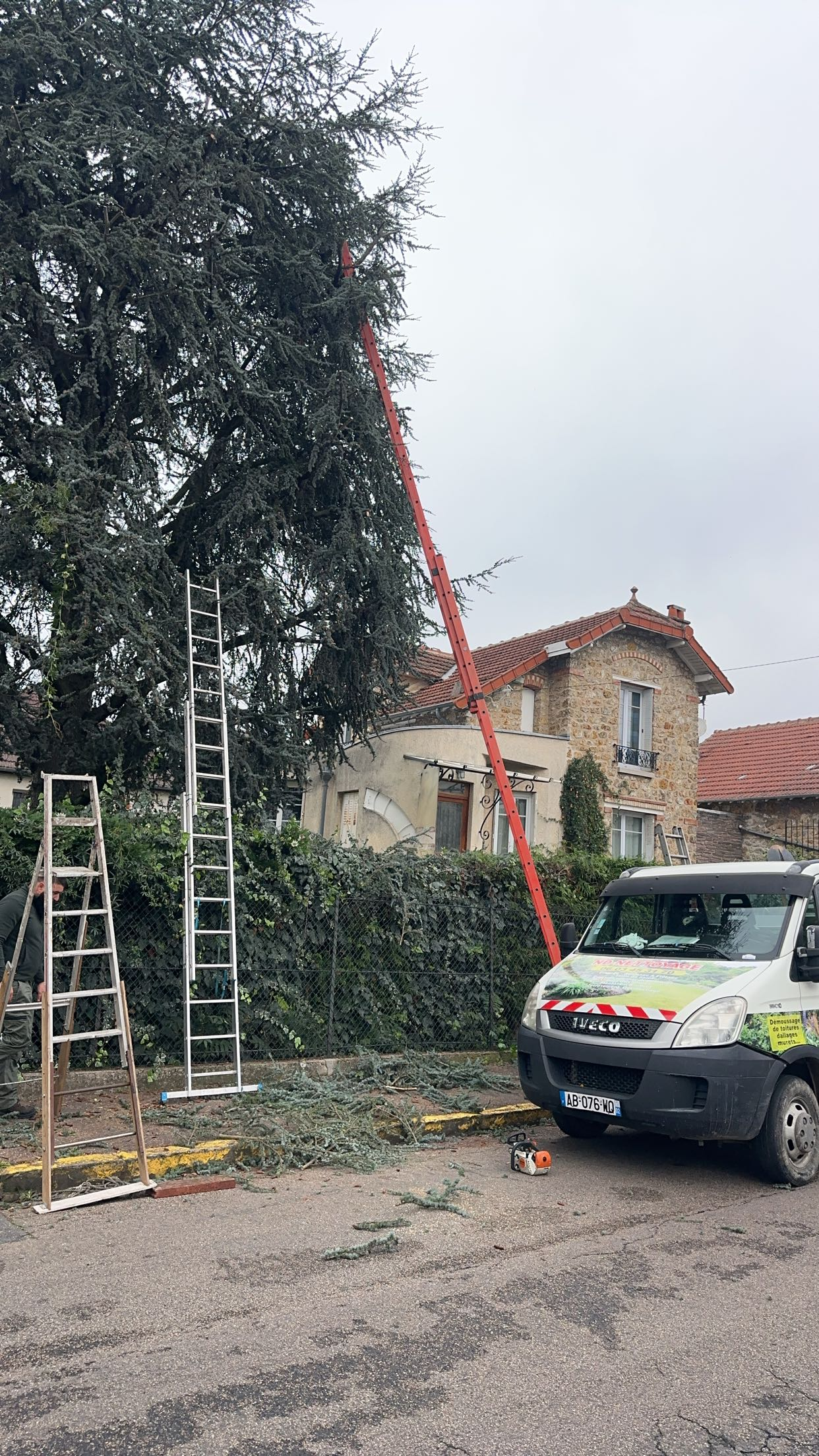 Service professionnel d'entretien d'espaces verts - Miniature 3