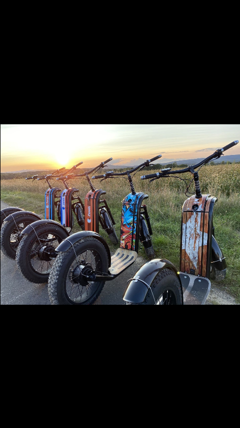 Trotinette électronique