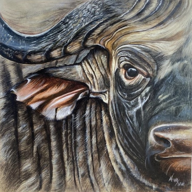 Tableau peinture à huile (Buffle solitaire )