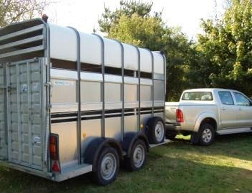 Van Ifor William 2 - 3 Chevaux