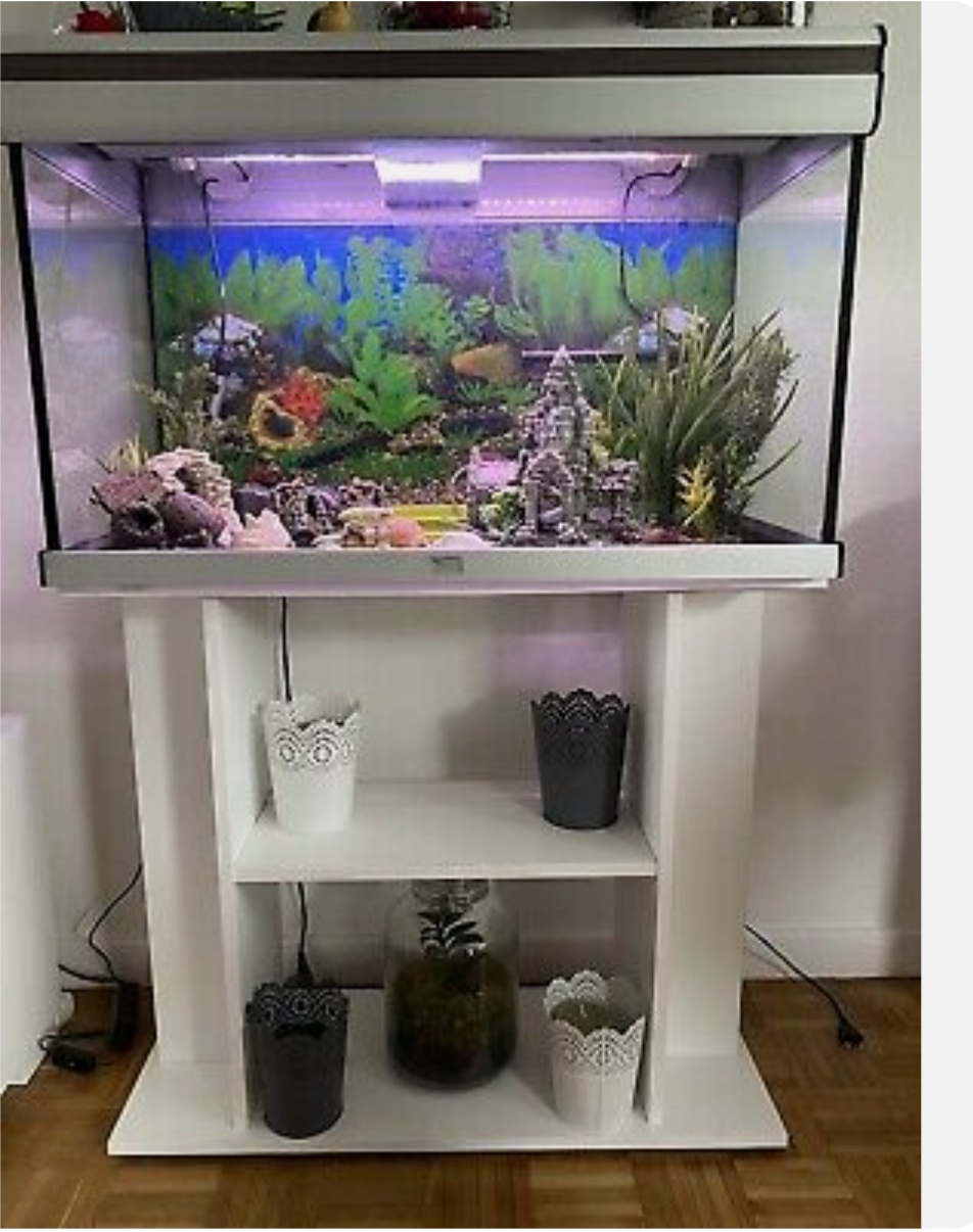 Aquarium à vendre
