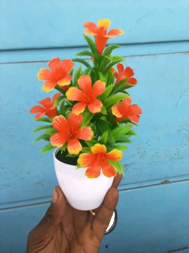 Pot de fleur