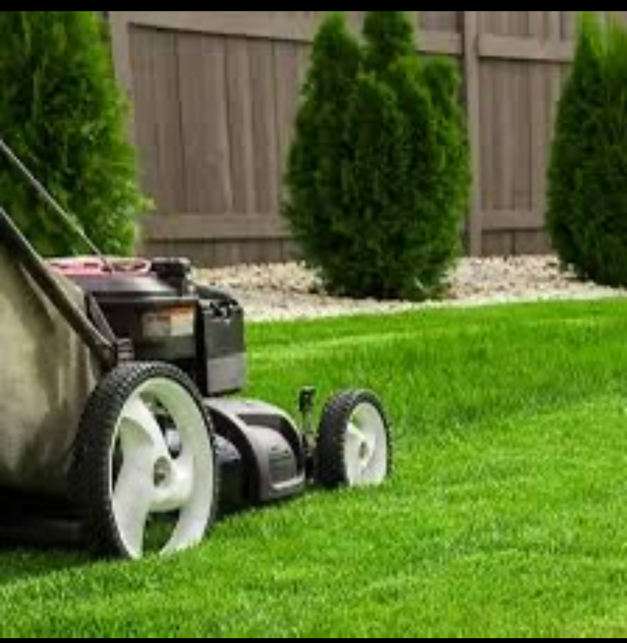 Jardinier petit prix