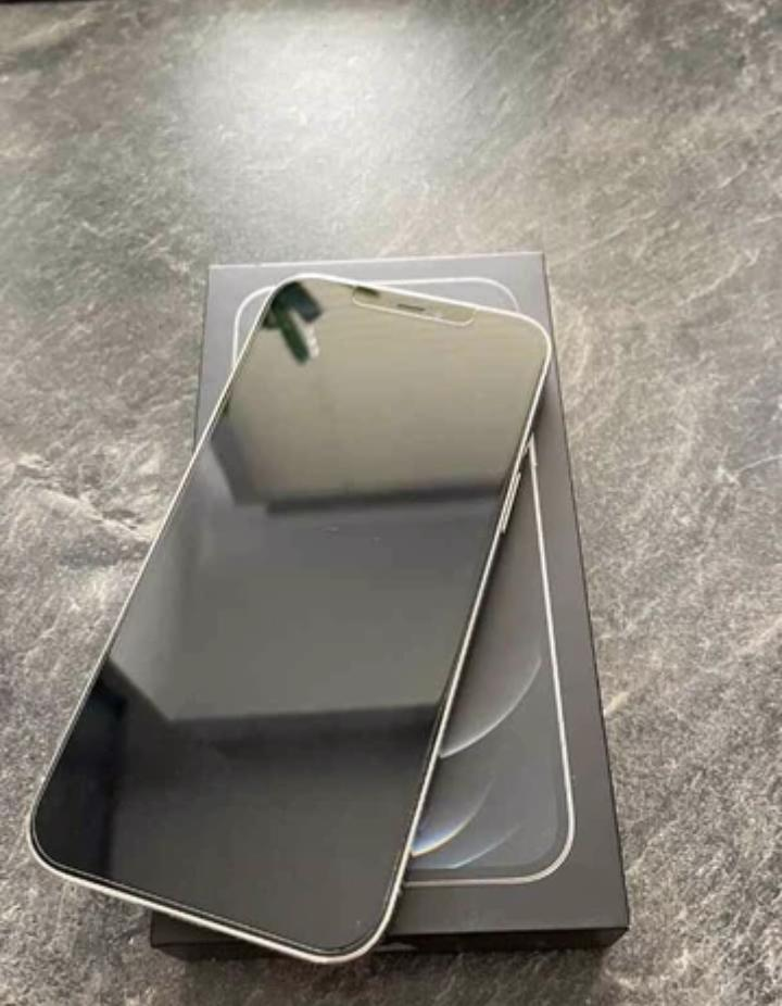 iPhone 12 pro max