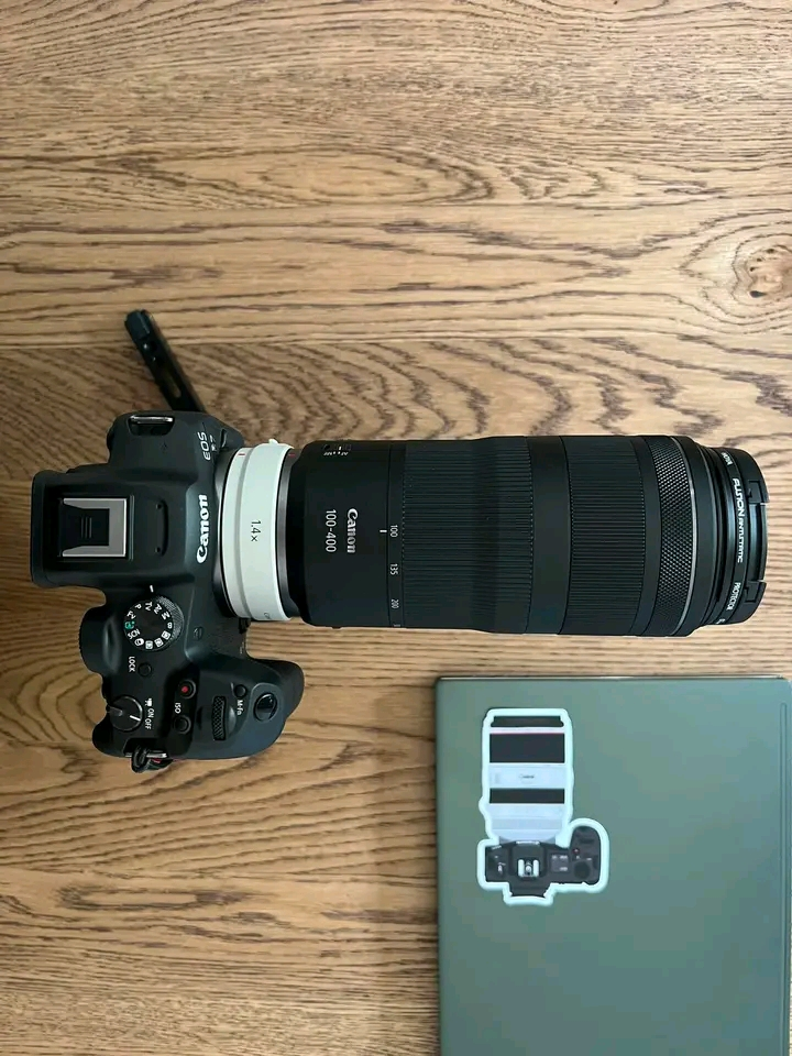 Canon RF 100-500mm f4.5-7.1L IS USM
