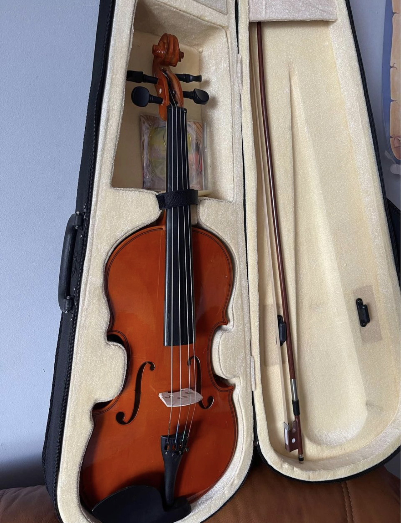 Violon vendu pour juste 100€