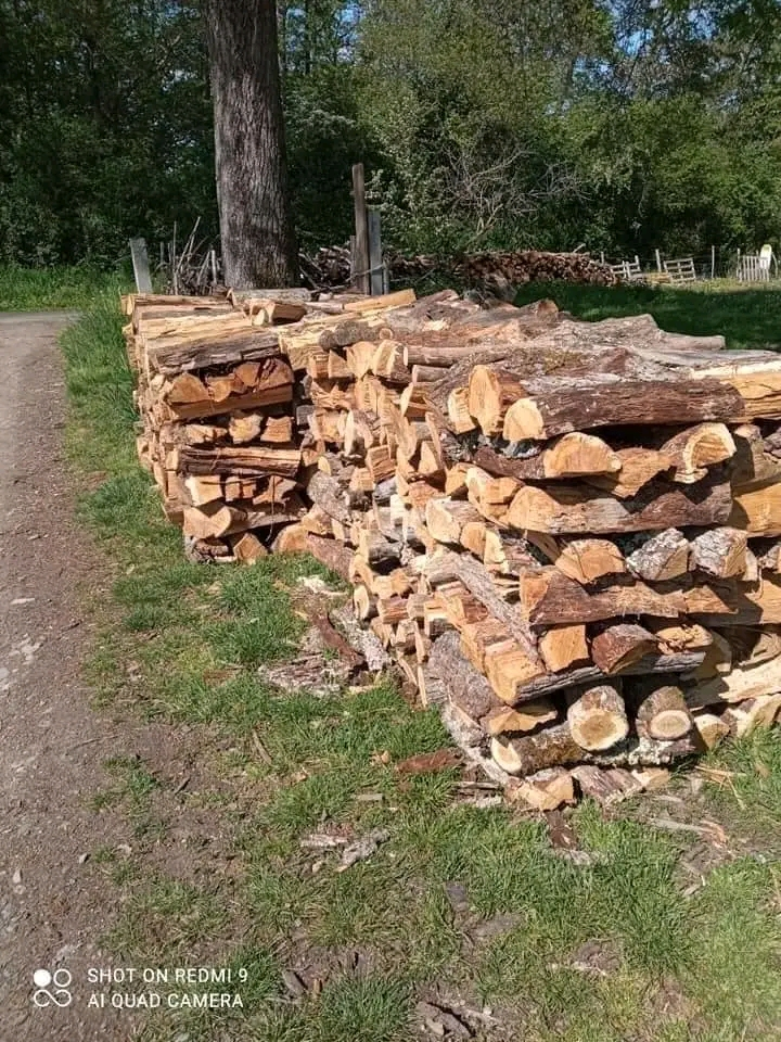 Bois de chauffage en 25, 33, 40, 50 ,cm