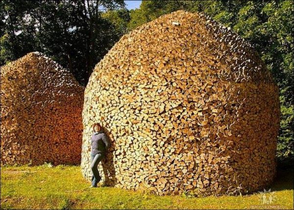 Bois de chauffage