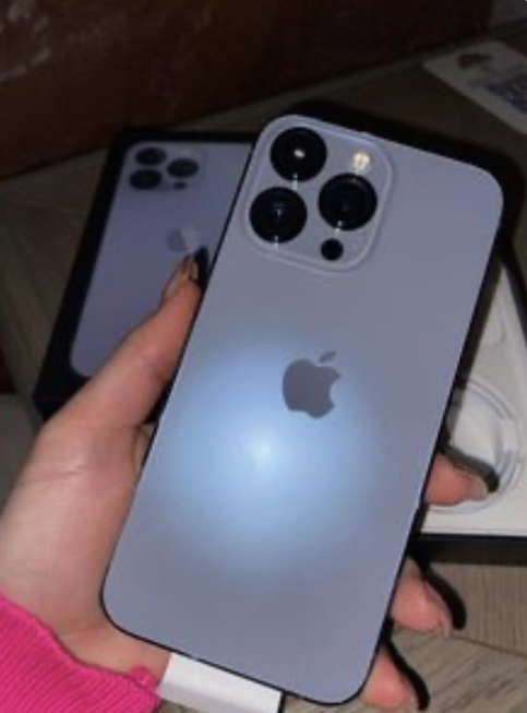 iphone 13 pro max ACCESSOIRES + GARANTIE