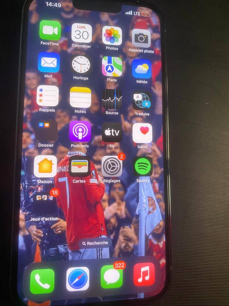 iPhone 13 pro max