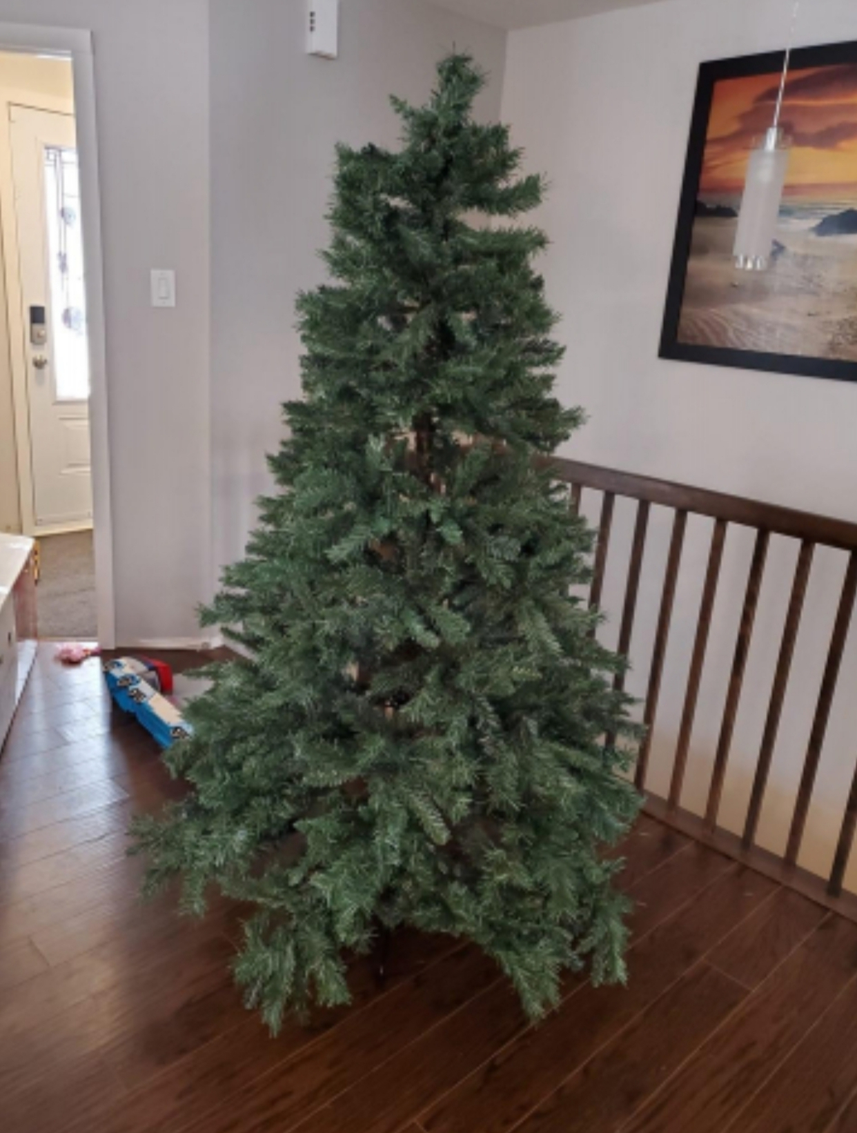 Sapin de Noël de l'année