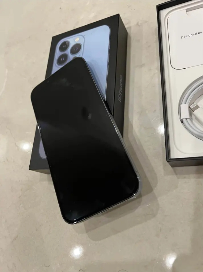 iPhone 13 pro max