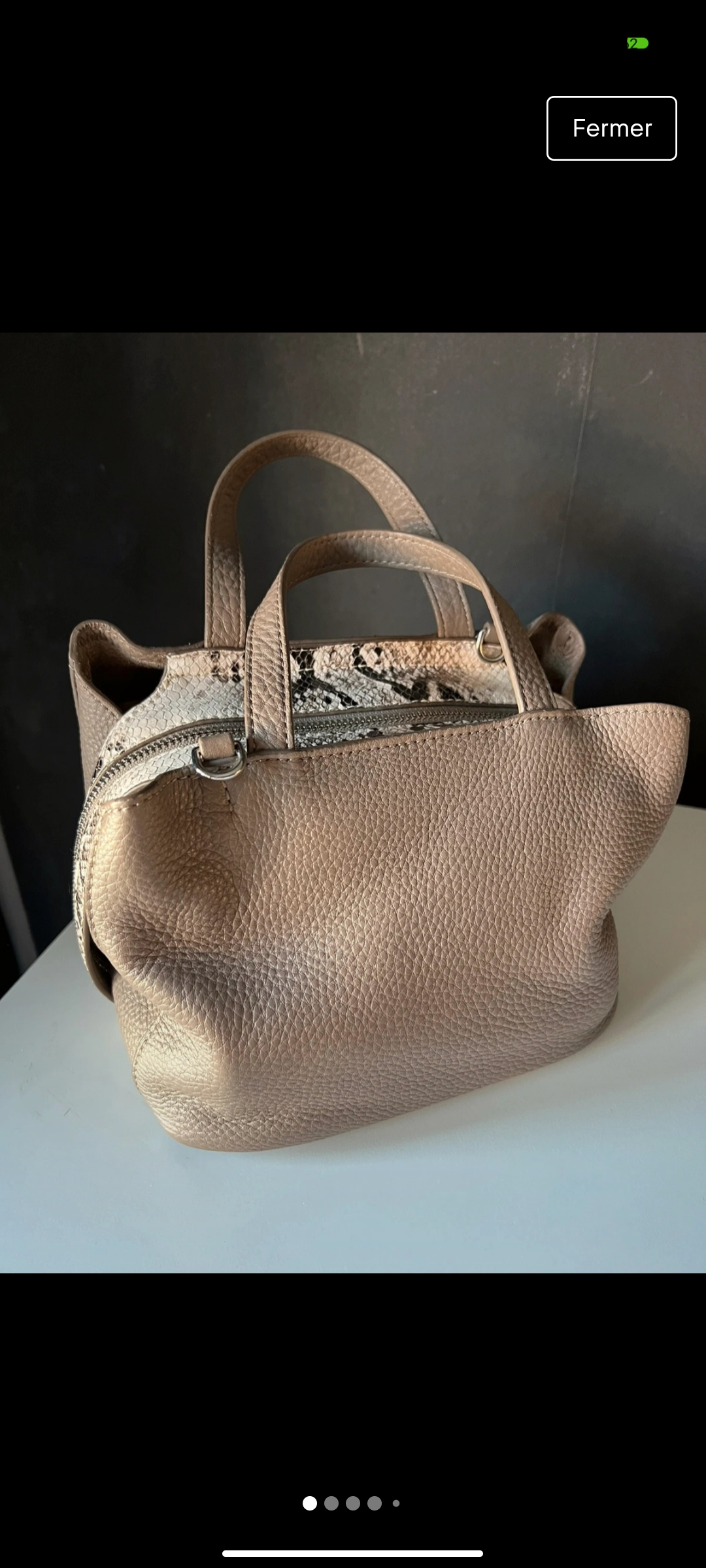 Sac Céline Dion