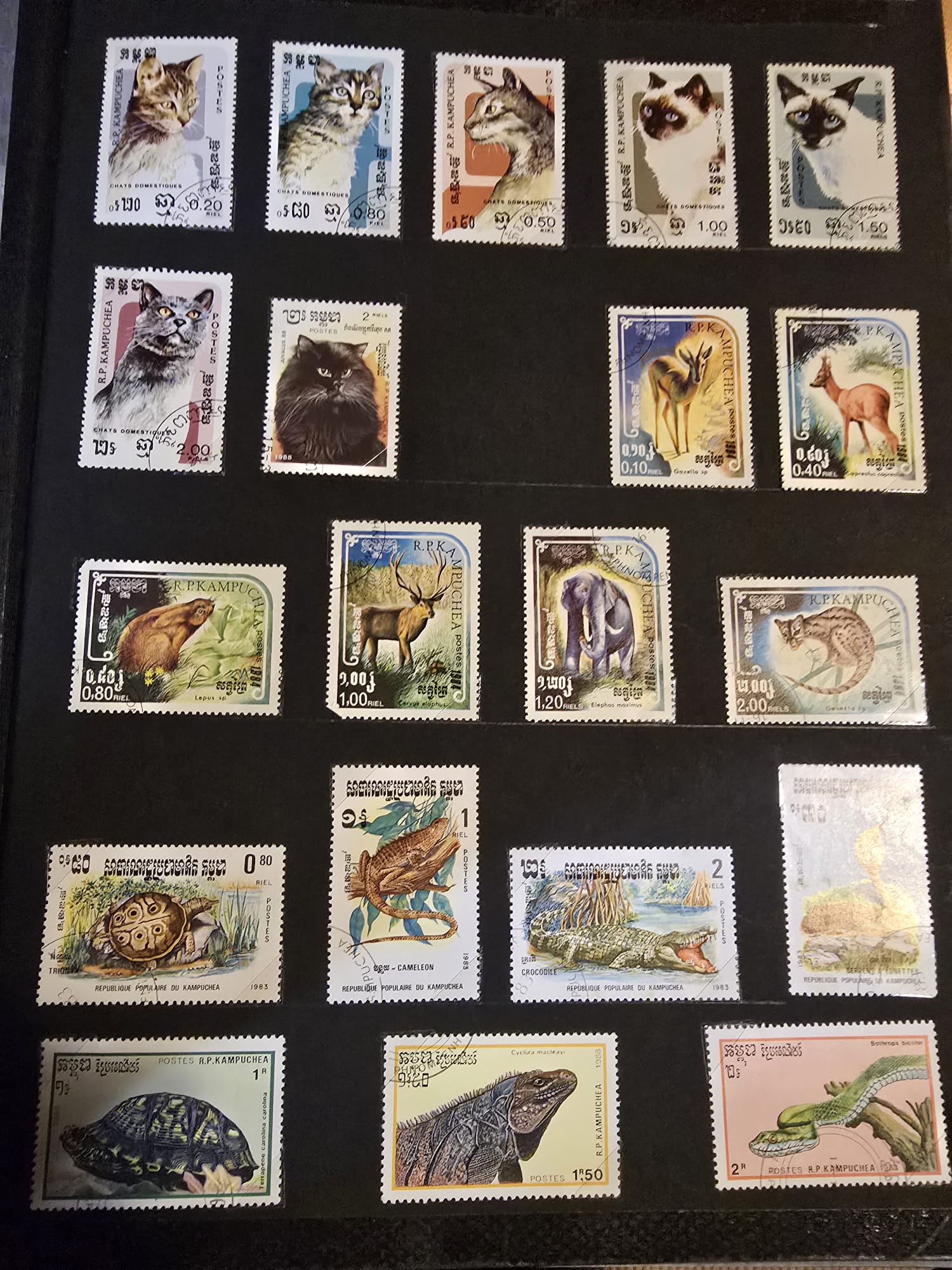 Collection de timbres rares de l'ex-URSS et autres pays - Miniature 19