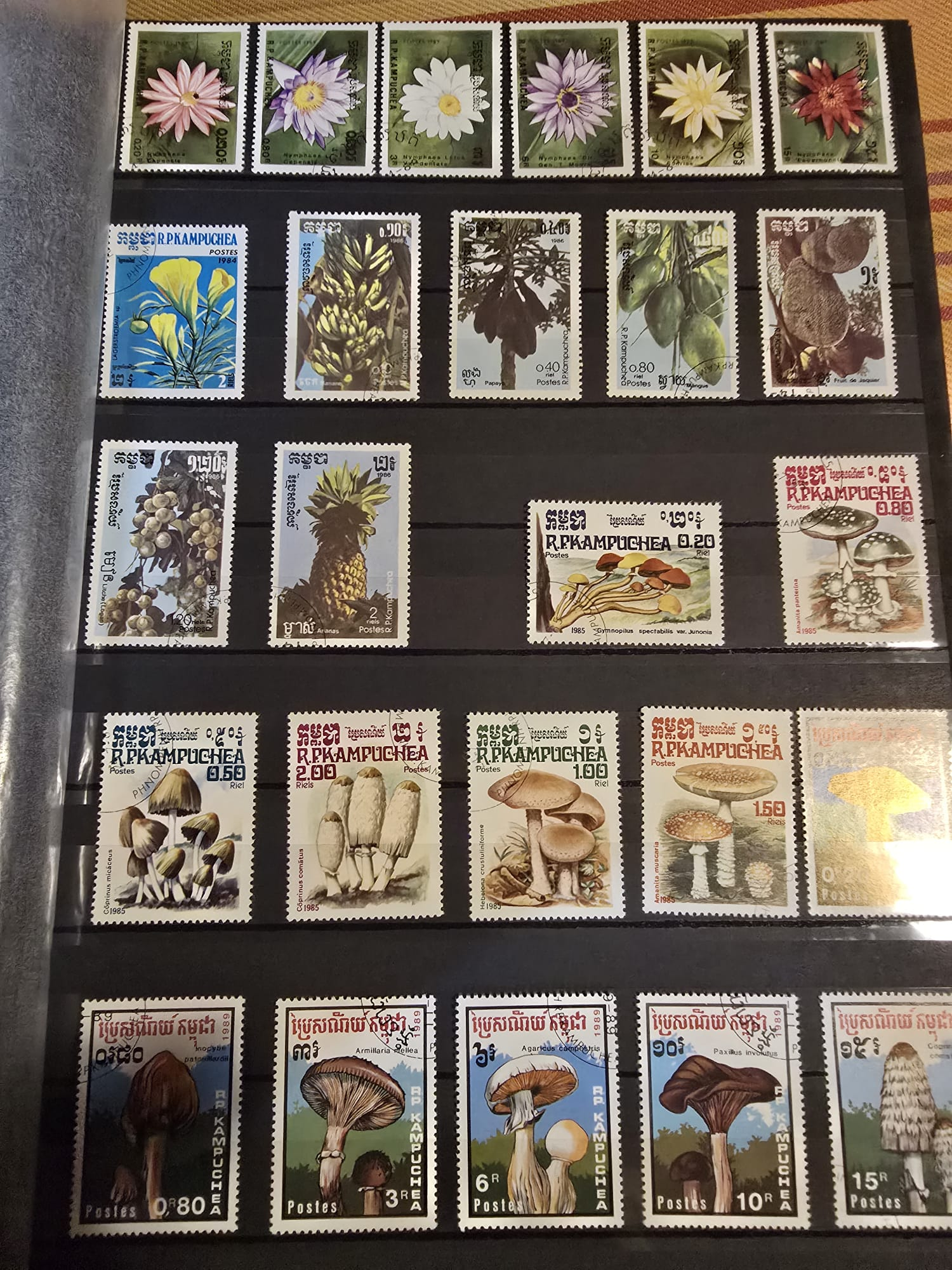 Collection de timbres rares de l'ex-URSS et autres pays - Miniature 14
