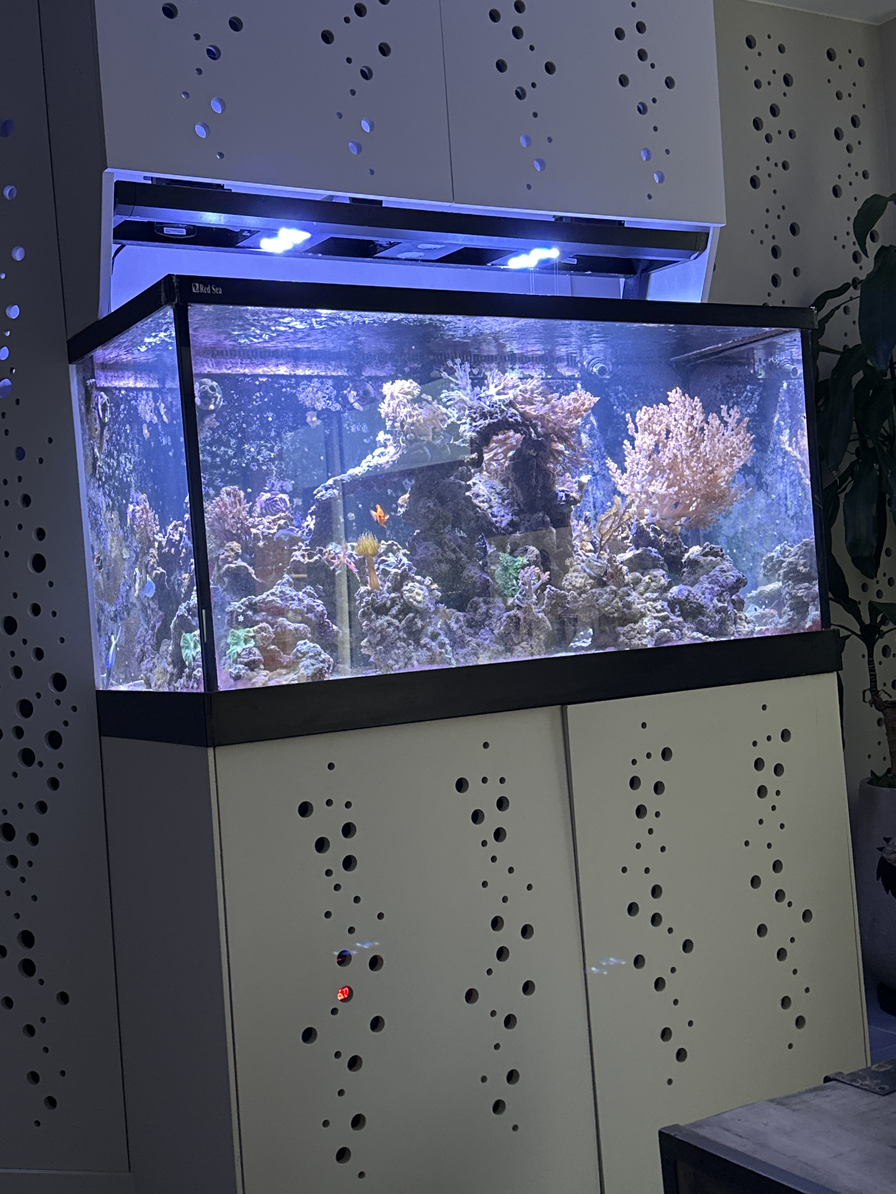 Aquarium