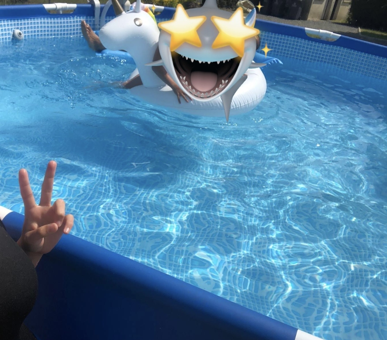 Vente piscine hors sol en bon état