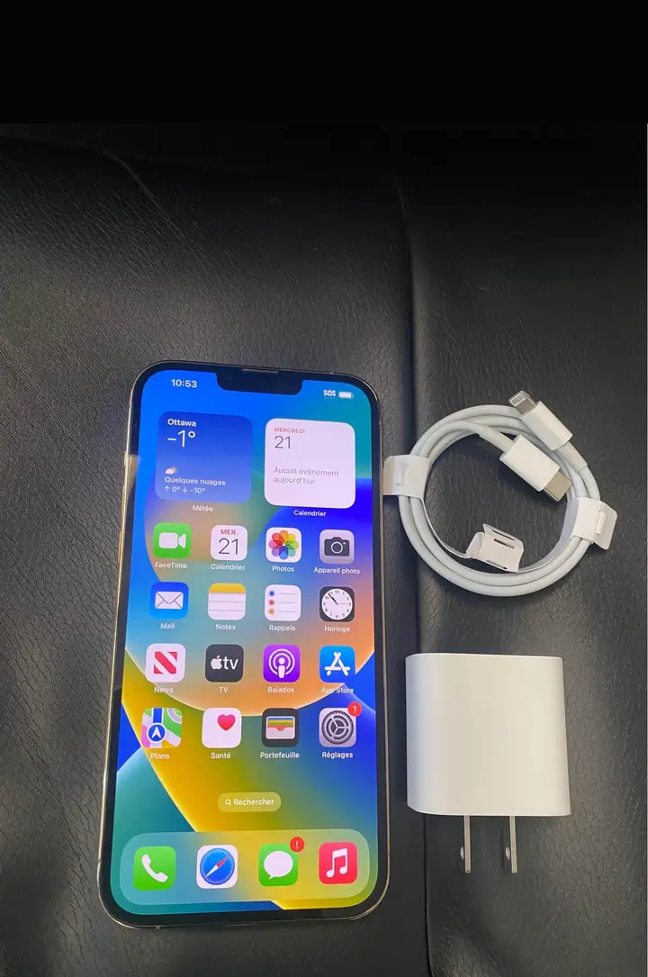 iPhone 12 pro max
