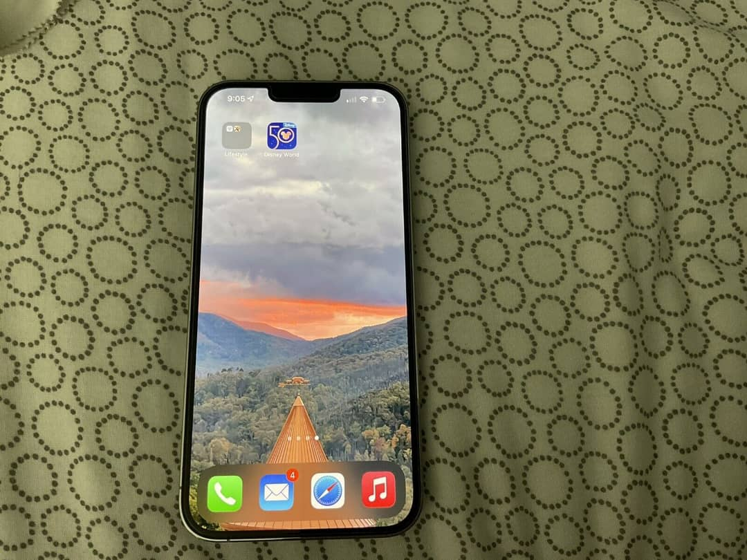 iPhone 13 pro max