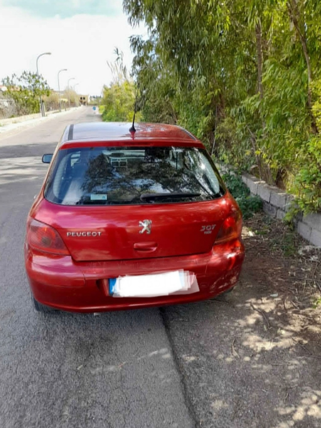Peugeot307